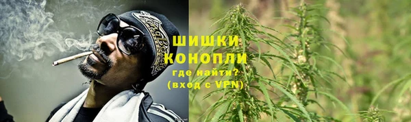 молекула духа Карпинск