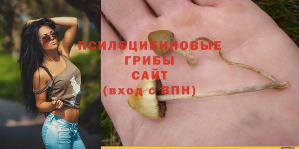 молекула духа Карпинск
