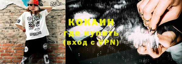 молекула духа Карпинск