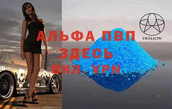 молекула духа Карпинск