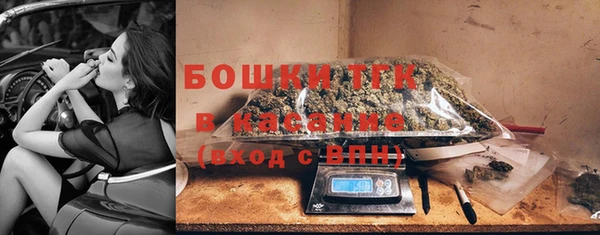 молекула духа Карпинск