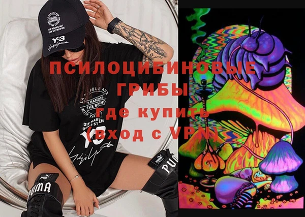 молекула духа Карпинск